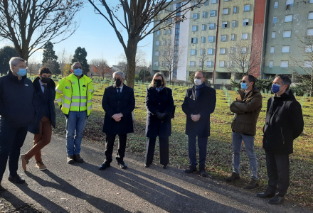 DBA GROUP CHOOSES ARBOLIA