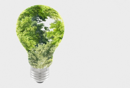 DBA FOR THE TERRITORY