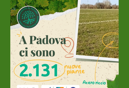 DBA AT THE OPENING OF VILLA GIUSTI WOOD