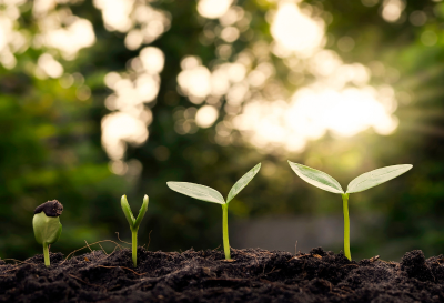 2024 SUSTAINABILITY REPORT APPROVED