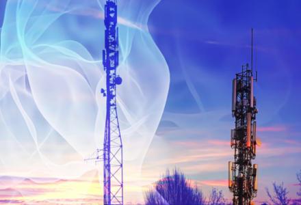 Professional Services for the Development of Mobile Networks